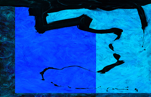 CONTACT FIELD - 1.1 - FREE SHIPPING