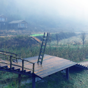 REACHING OUT - 1.1 – Free Shipping