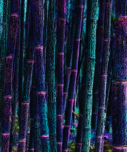 BAMBOO - 1.0 - FREE SHIPPING