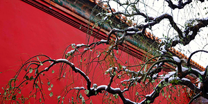 GLANCE - 1.3 – Free Shipping