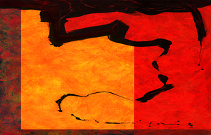 CONTACT FIELD - 1.0 - FREE SHIPPING