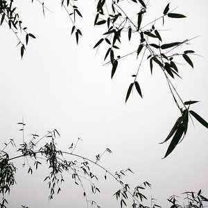 MEDITATION - 1.9 – Free Shipping