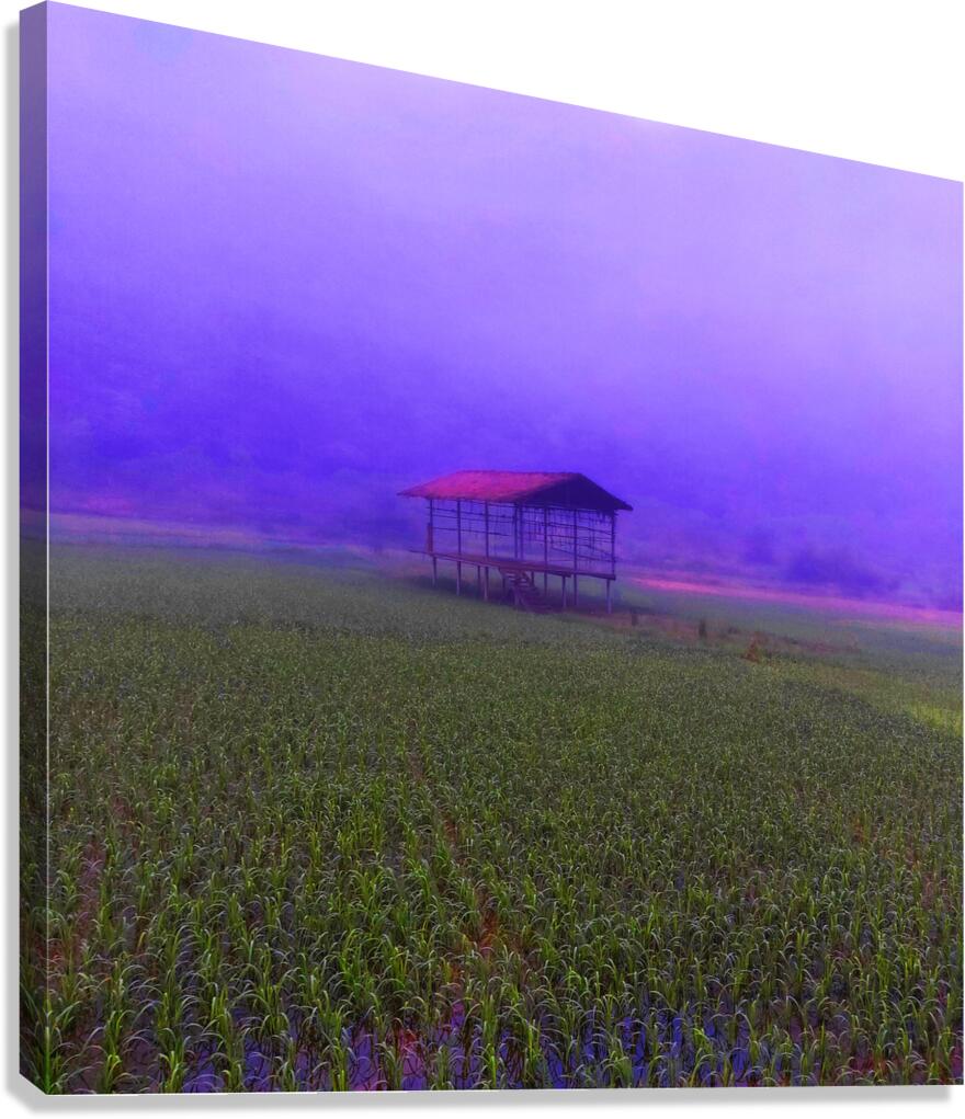 FIELD - 1.4 – Free Shipping Canvas Print