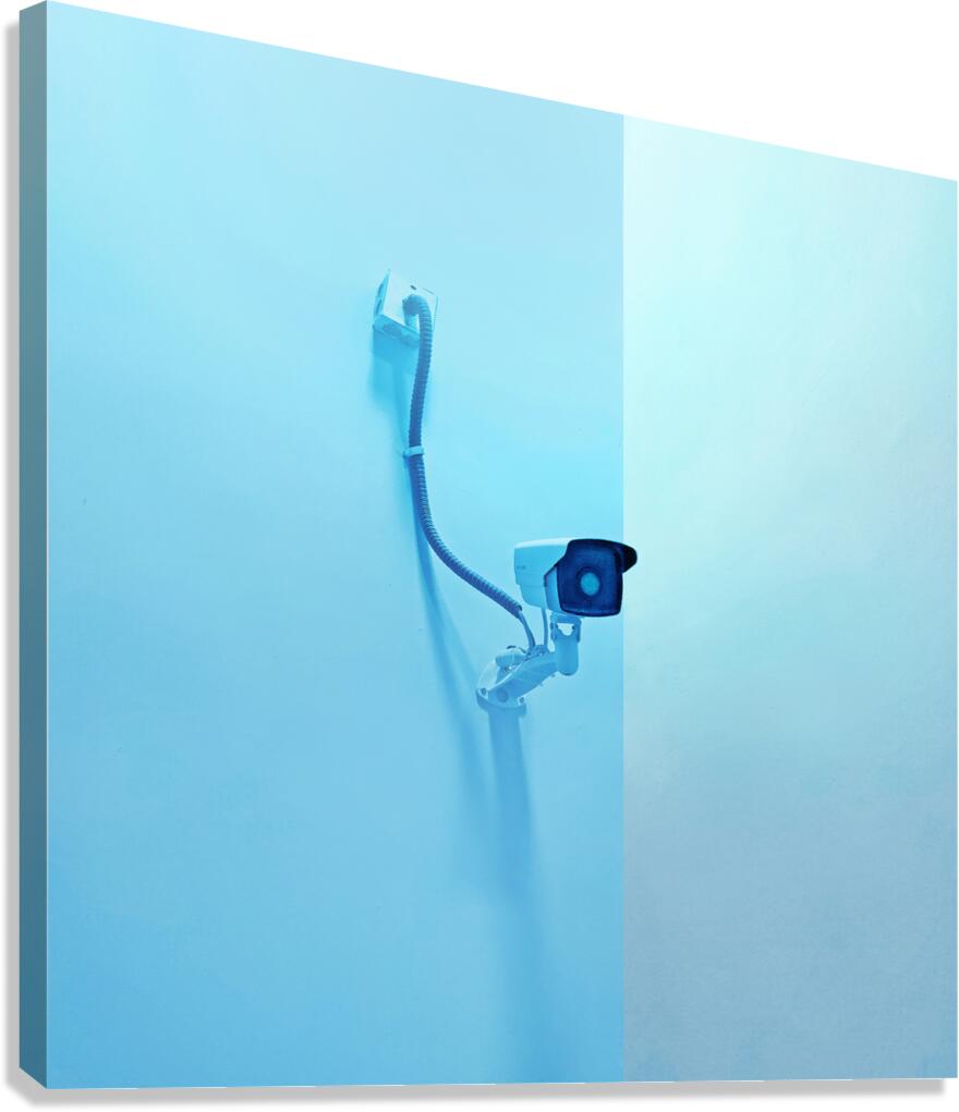 GLANCE - 1001.3 – Free Shipping Canvas Print