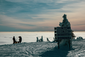 Technicolour Contemplation