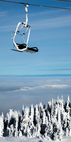 Steel Sky