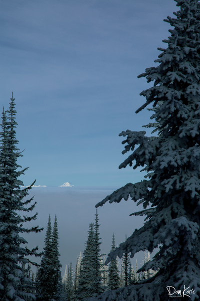 Peak Peek by KoricPhoto
