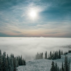 Effortless Tranquility