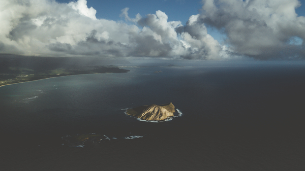 Rabbit Island  Print