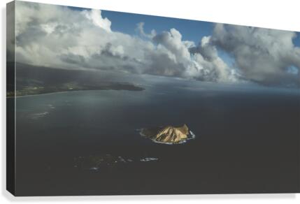 Rabbit Island  Canvas Print