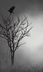 Winter Is Comming 