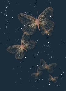 Butterfly Color