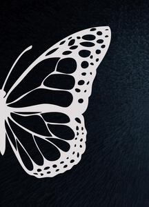 Butterfly Vector Art Blue