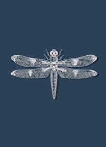 Dragon Fly