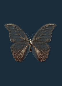 Rusty Giltter Butterfly