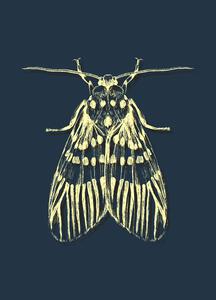 Yellow Bee