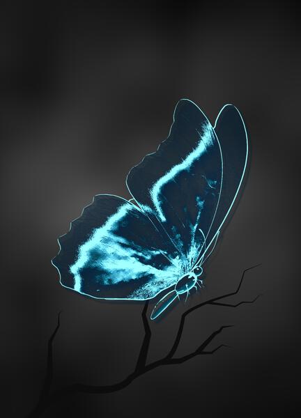 Butterfly Blue Cloud Print