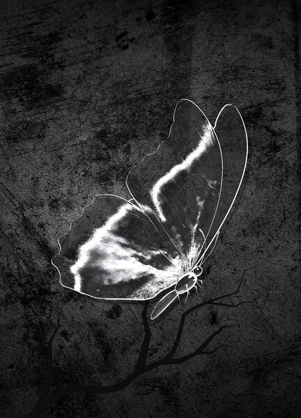 Butterfly Ghost In Dark by shutterstrike