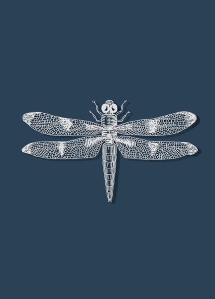 Dragon Fly Print