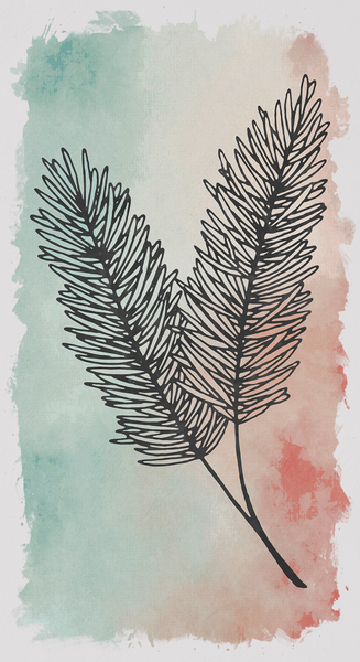 Feather 2 by shutterstrike