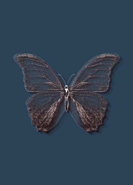 Glitter Butterfly by shutterstrike
