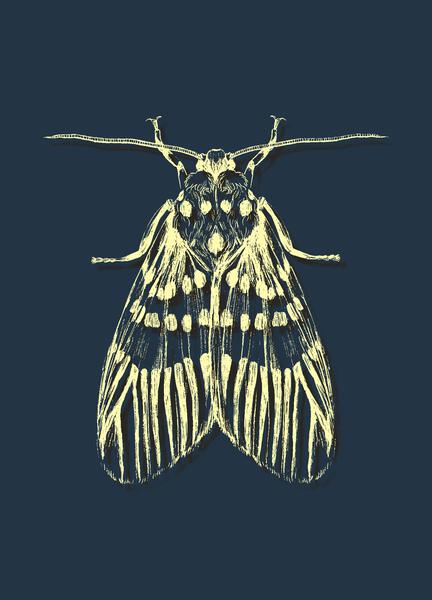 Yellow Bee by shutterstrike