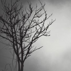 Winter Is Comming 