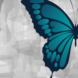 Butterfly Effect