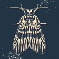 Bee Art
