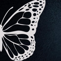 Butterfly Vector Art Blue