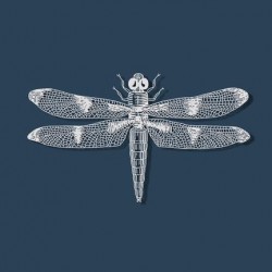 Dragon Fly