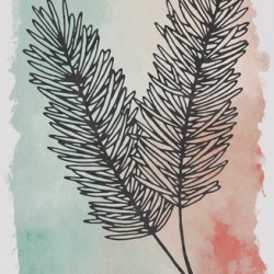 Feather 2