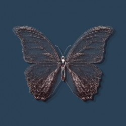 Glitter Butterfly