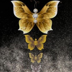 Golden Butterfly Evolve