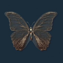 Rusty Giltter Butterfly