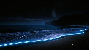 Beach Long Form Image Signed