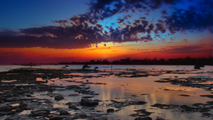 Blue Sunset