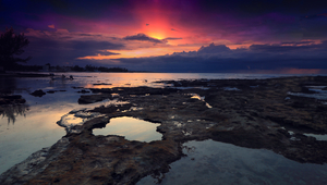 Red dawn