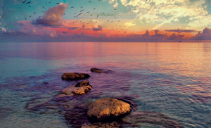 Rainbow Seas and Cotton Candy 