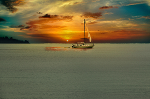Sailing in Paradise