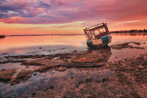 Sitting in the Evening Sun