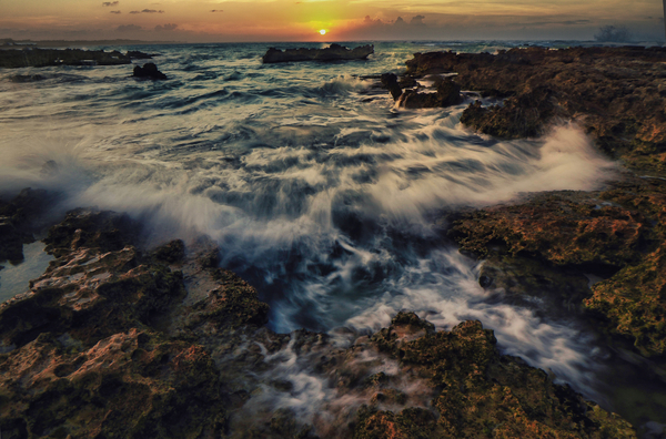 Wave Action Print