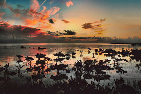 Pink Clouds  Print