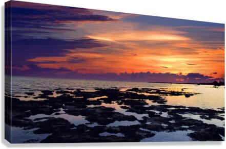 Cool Summer Canvas Print