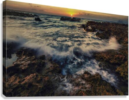 Wave Action Canvas Print