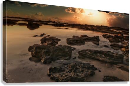Stone Garden  Canvas Print