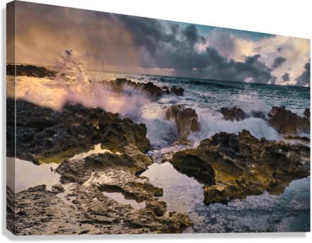 Splashes Canvas Print