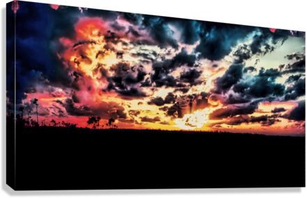 The Sky is Falling Canvas Print