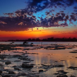 Blue Sunset