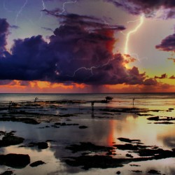 Purple Rain